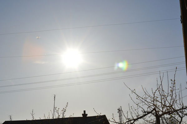 Андрей Евтушенко