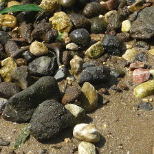 Алла Емелина