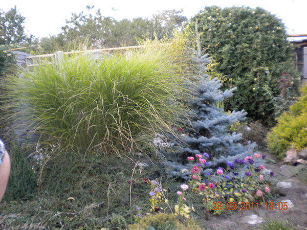 Людмила Попкова