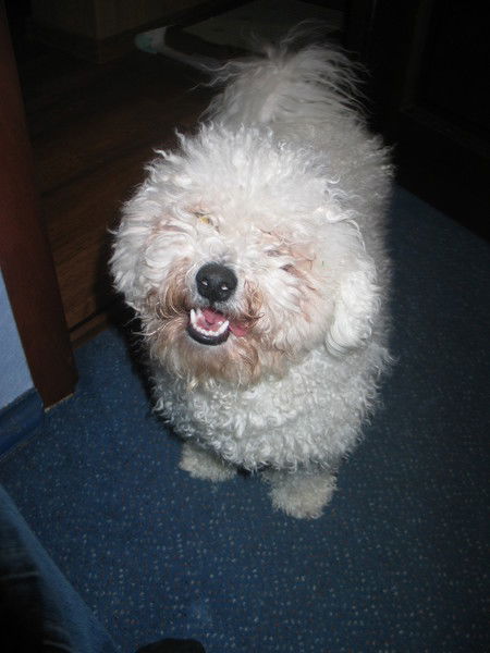 Эдуард Перминов