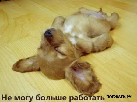 Сергей Лупандин