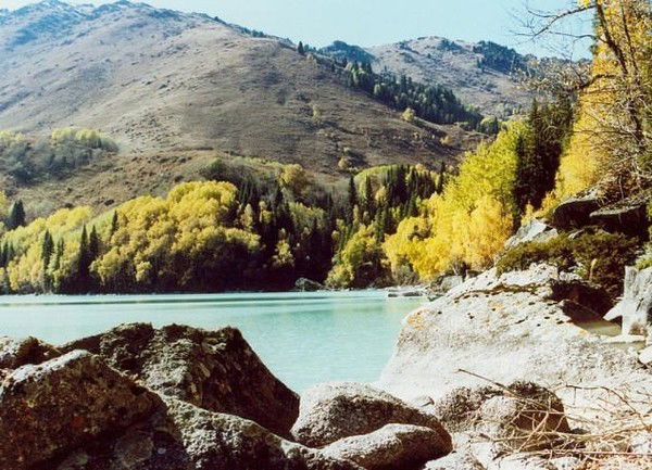 Дмитрий Шишкин