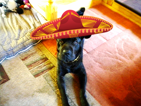 Елизавета Хачатурян