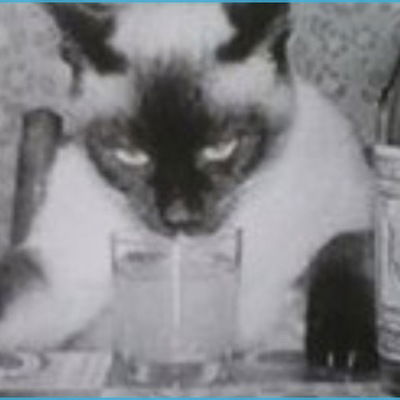 Кирилл Хныкин