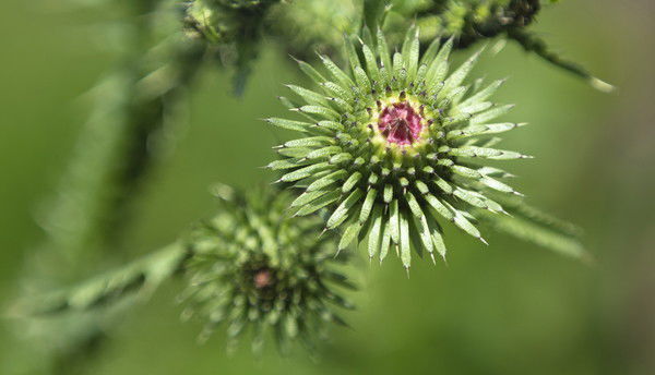 Юрий Иваков