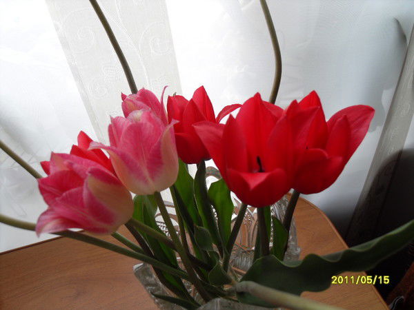 Мария Вильчинская