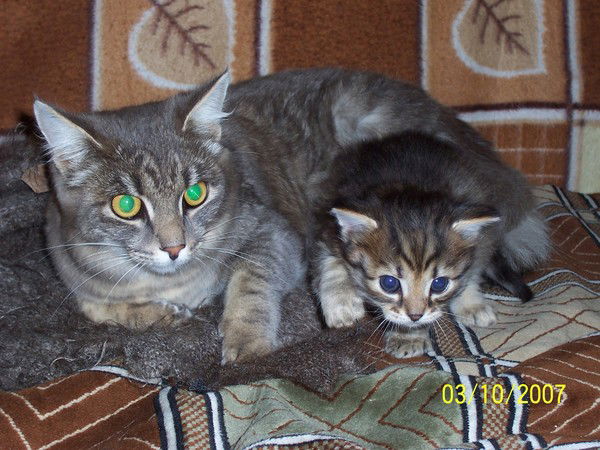 Виталий Глазков