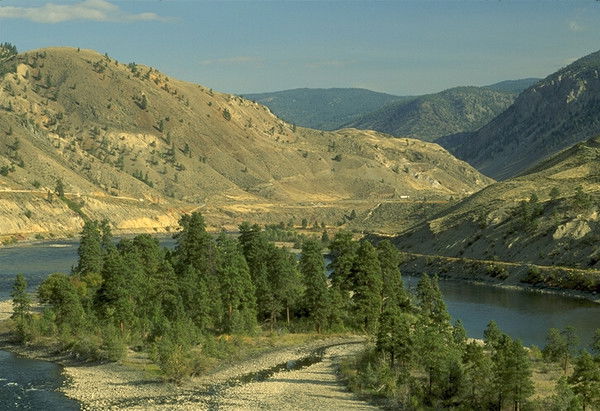 Елена Голева