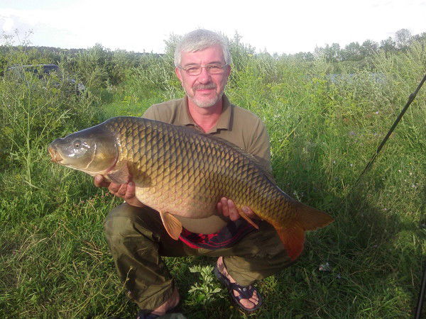 Андрей Молоканов