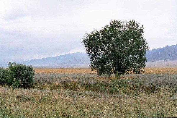 Варениковская Администрация