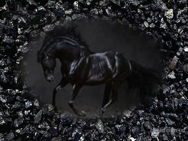 Угольный Центр Сабурхан