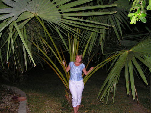 Наталья Короткова