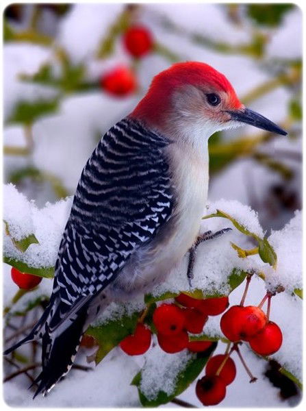 Надежда Федорова