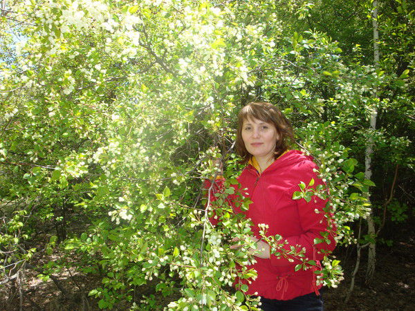 Светлана Усова