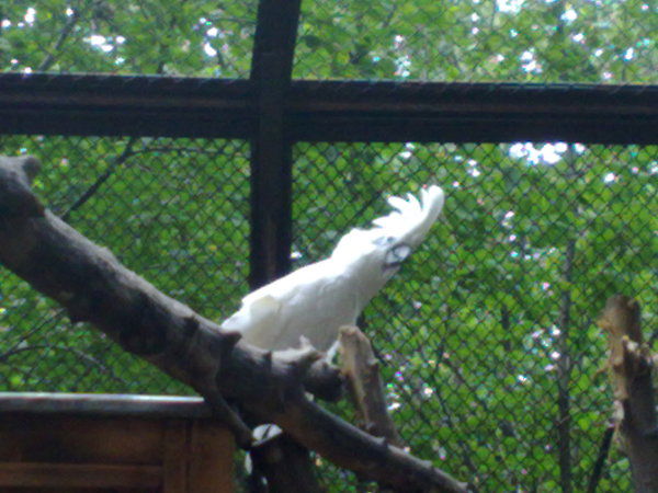 Юлия Первеева