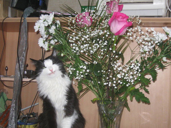 Ольга Рысич