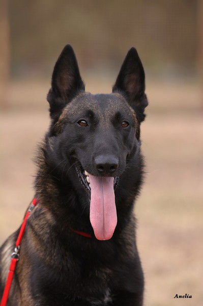 Юлия Чугунова