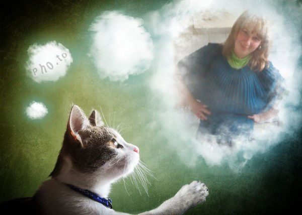 Анна Валюкевич