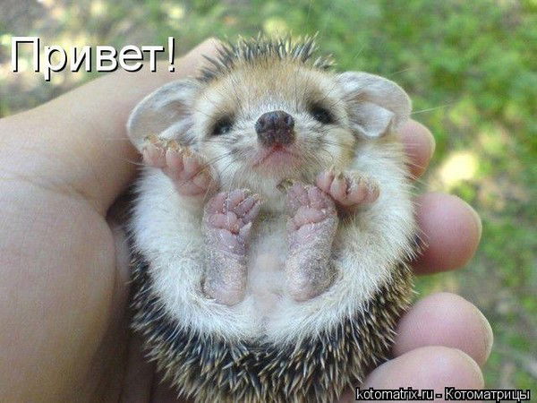 Дина Курмангалиева