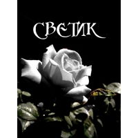 Света Мороз