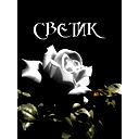 Света Мороз