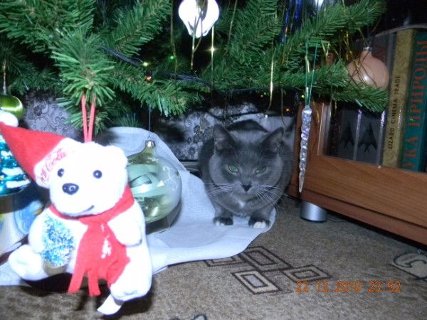 Елена Либерова