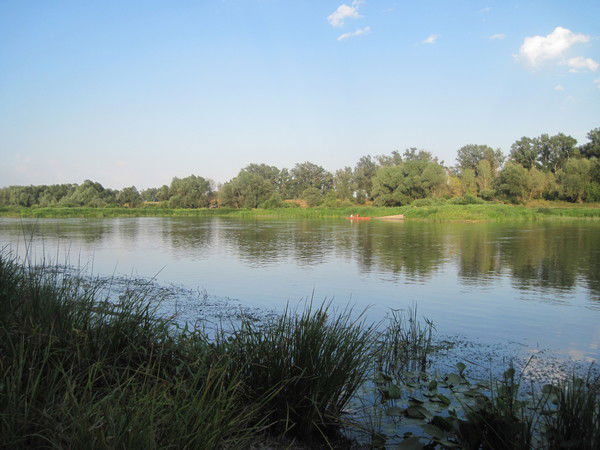 Виталий Трофимов