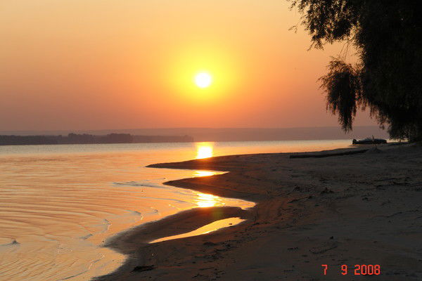 Фарида Камалетдинова