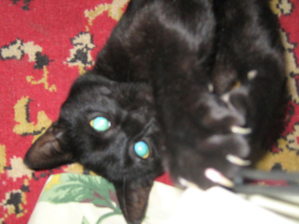 Наталья Колесникова