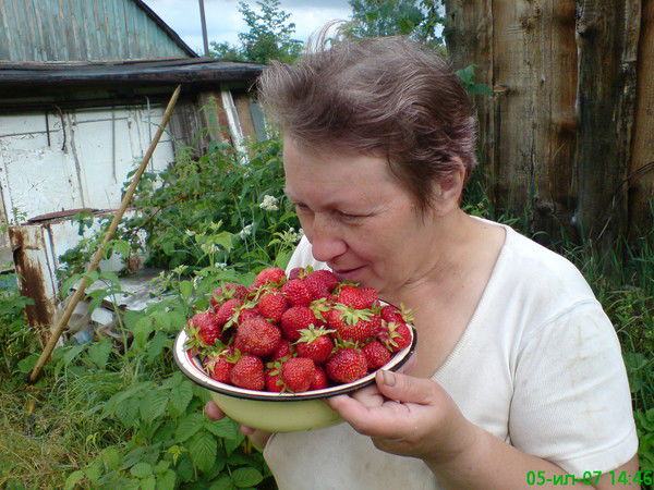 Люда Боровых