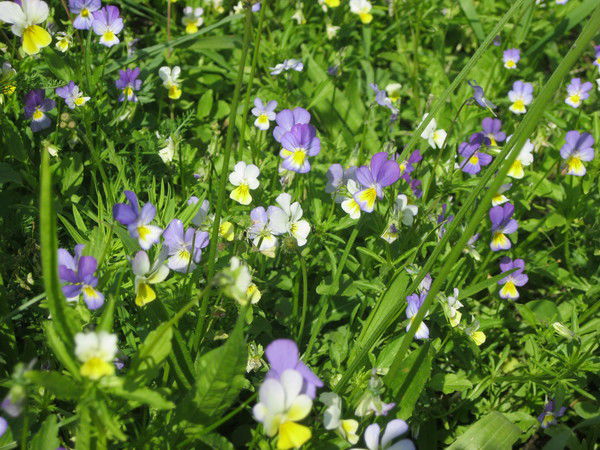 Наталия Ратникова