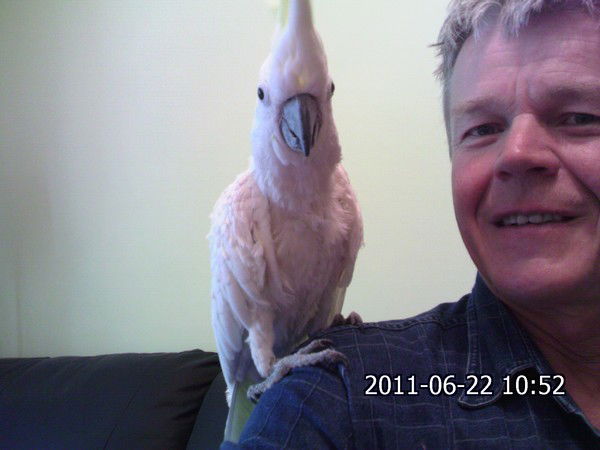 Александр Кеменов