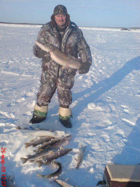 Николай Дину