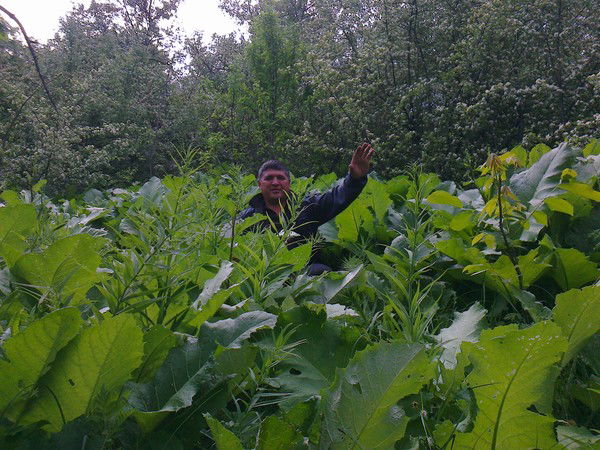 Рустам Миридинов