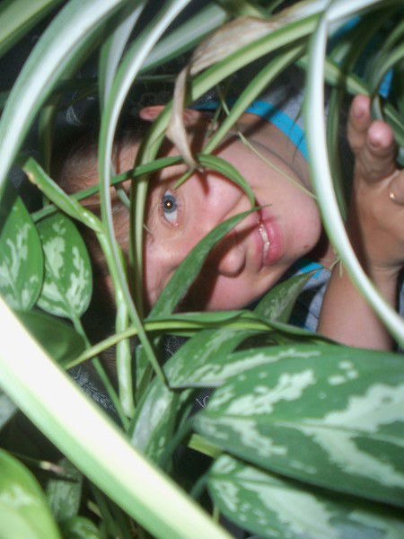 ***веточка ***