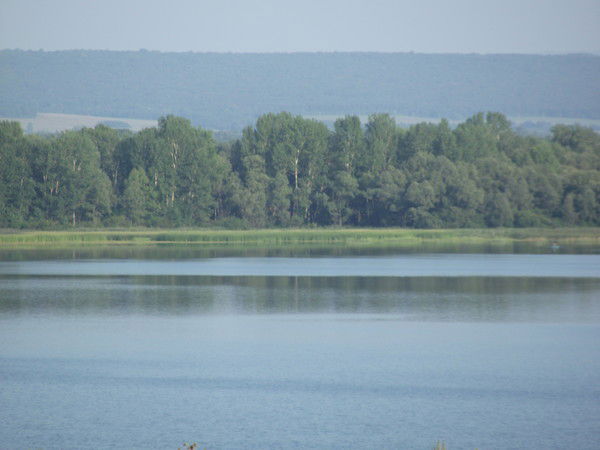 Анатолий Пучкин