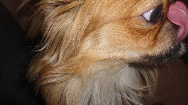 Иван Подстрелов