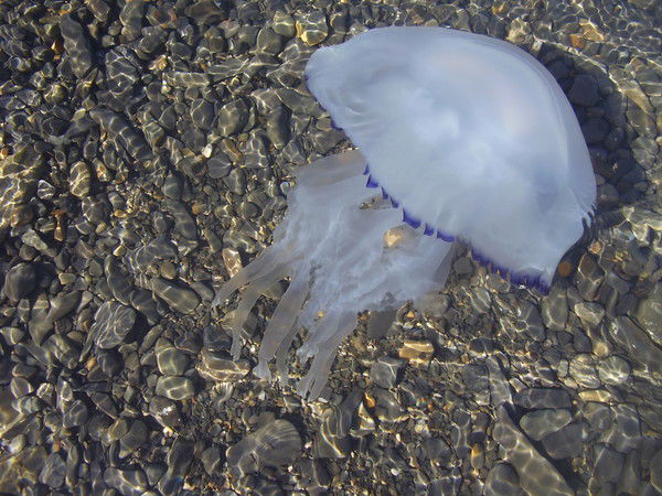 Марина Виктор Бубновы