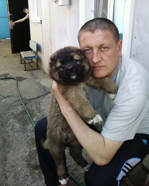 Алексей Белан