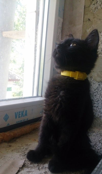 Роман Суханов