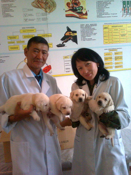 Керимбай Калкулов