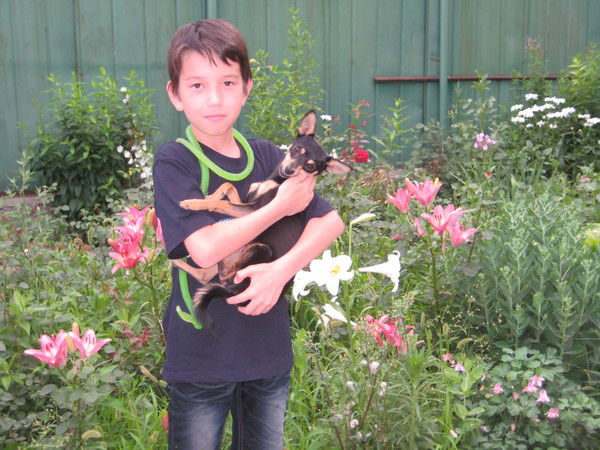 Алишер Бигазиев