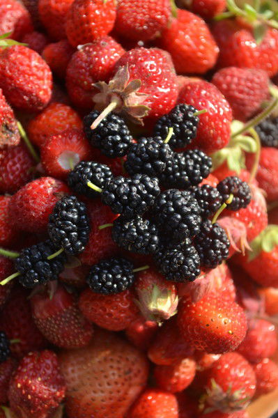 ***незн@комк@*** *