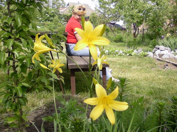 Татьяна Парубочая