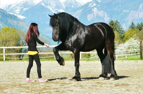 Mедина Эрмуратова