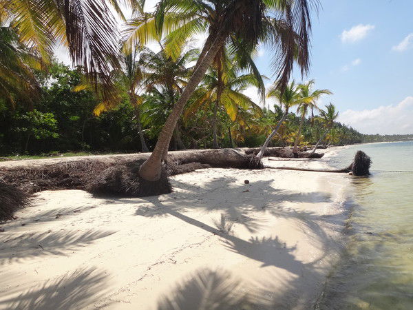 Дмитрий Крикунов