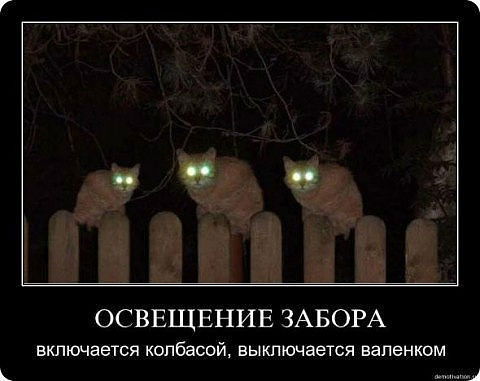 Секс В Волгограде