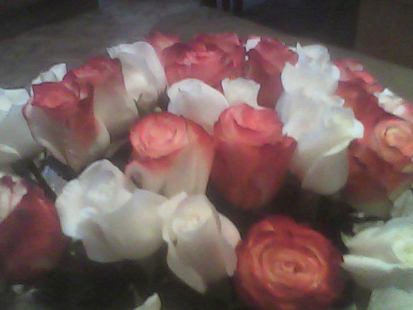 Долгушева Наталья