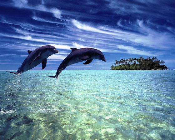 Лилия Мухтарова