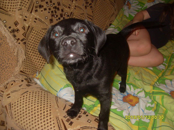 @ндрей (Тюряга)